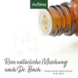 AniForte Bachblüten Wohlfühl Globuli für Hunde, Katzen und Haustiere 15 g - 15 g – Bild 1 von 8