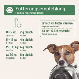 AniForte BARF Complete Mineralfutter Pulver zur Rundumversorgung für Hunde aller Altersstufen 1 kg - 1 kg – Bild 1 von 4