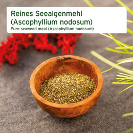 AniForte BARF-Line Seealgenmehl Pulver zur Unterstützung von Haut, Fell und Verdauung 250 g - 250 g – Bild 1 von 5