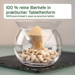 AniForte Bierhefe Tabs Haut-Fell-Supplement mit Vitaminen 500 Stück 260g – Bild 1 von 2