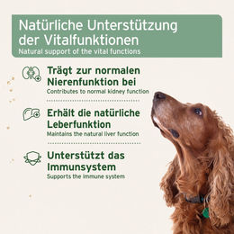 AniForte Bio Ägyptisches Schwarzkümmelöl Kaltgepresst 500ml zur Haut-Fell-Pflege und Immunstärkung - 500 ml – Bild 1 von 3