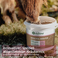 Produktbild von AniForte Bronchial Kräuter für Pferde zur Unterstützung der Atemwege und des Immunsystems 1 kg - 1 kg