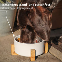 Produktbild von AniForte Futternapf aus Keramik in Weiß - 780 ml