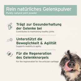 AniForte Grünlippmuschelpulver zur Unterstützung der Gelenke für Hunde, Katzen und Pferde 250g - 250 g – Bild 1 von 8