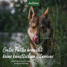 Produktbild von AniForte Hund Trockenfutter Rind Getreidefrei Hypoallergen Monoprotein 2 kg - 2 kg