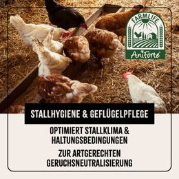 Produktbild von AniForte Kieselgur Pulver mit Stäuberflasche für Hühner 4,2 kg - 4,2 kg