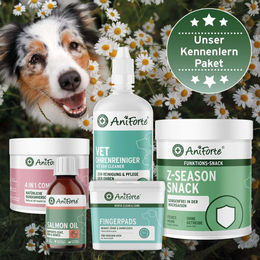AniForte Lachs Öl zur Unterstützung von Haut, Fell, Gelenken und Immunsystem für Hunde flüssig – Bild 1 von 1
