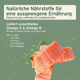 AniForte Lachsöl zur Fell- und Hautpflege für Hunde, Katzen und Pferde 100 ml ohne Farb- und Aromastoffe sowie Konservierungsstoffe - 100 ml – Bild 1 von 3