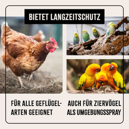 AniForte Milben-STOP Spray für Hühner und Geflügel 500ml - 500 ml – Bild 1 von 7