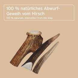 AniForte Naturkauartikel Hochland Hirschgeweih Medium für Hunde – Bild 1 von 3