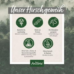 AniForte Naturkauartikel Hochland Hirschgeweih Small für Hunde – Bild 1 von 4