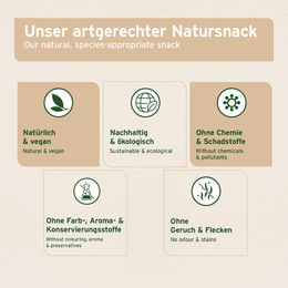 AniForte Olivenholz Kauknochen für Hunde Large 210g – Bild 1 von 2