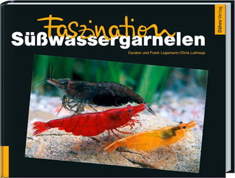 Produktbild von Animalbook Faszination Süßwassergarnelen 1 Stück