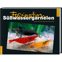 Produktbild von Animalbook Faszination Süßwassergarnelen 1 Stück