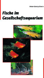Produktbild von Animalbook Fische im Gesellschaftsaquarium 1 Stück