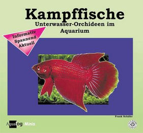 Animalbook Kampffische Aqualog mini Buch – Bild 1 von 2