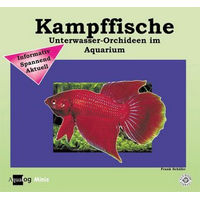 Produktbild von Animalbook Kampffische Aqualog mini Buch