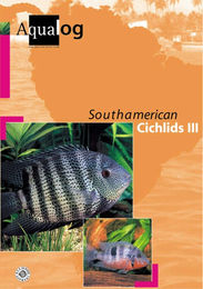 Produktbild von Animalbook South American Cichlids III - 1 Stück