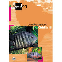 Produktbild von Animalbook South American Cichlids III - 1 Stück