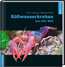 Produktbild von Animalbook Süßwasserkrebse 1 Stück