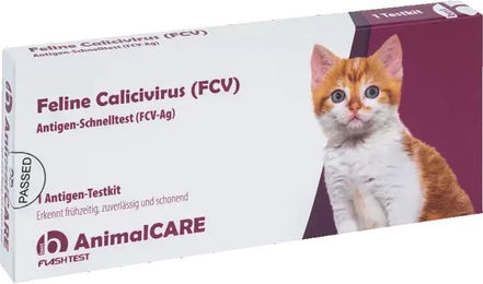 Produktbild von AnimalCare Calicivirus Schnelltest für Katzen in Weiß