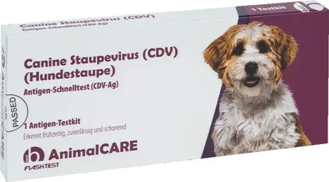 Produktbild von AnimalCare Staupevirus Schnelltest für Hunde