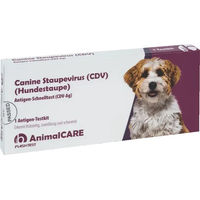 Produktbild von AnimalCare Staupevirus Schnelltest für Hunde