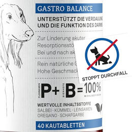 animaux Gastro Balance Kautabletten für Hunde zur Unterstützung der Verdauung und Magen-Darm-Flora mit Probiotika 40 x 2,5 g - 40 x 2,5 g – Bild 1 von 7