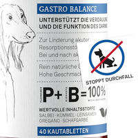 Produktbild von animaux Gastro Balance Kautabletten für Hunde zur Unterstützung der Verdauung und Magen-Darm-Flora mit Probiotika 40 x 2,5 g - 40 x 2,5 g