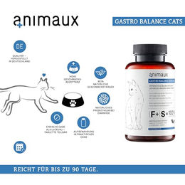 animaux Gastro Balance Kautabletten für Katzen zur Unterstützung von Magen und Darm mit Probiotika 90 Stück - 90 Stk. – Bild 1 von 5