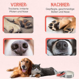 animigo Nasen- und Pfotenbalsam für Hunde und Katzen mit Lavendelöl und Bienenwachs 60ml - 60 ml – Bild 1 von 6