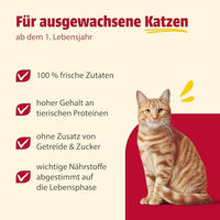 Produktbild von Animonda Carny Adult Nassfutter für ausgewachsene Katzen Getreidefrei und ohne Zucker 6 x 800 g - 6 x 800 g