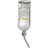 Produktbild von AniOne Glastränke Trinkflasche aus Glas transparent 350 ml - 350 ml