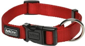 Produktbild von AniOne Halsband Classic aus Nylon rot Größe L wasserabweisend