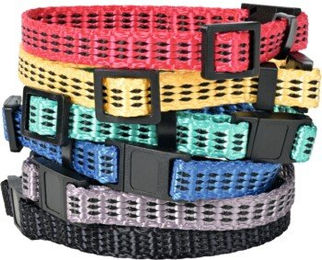 Produktbild von AniOne Halsband für Welpen in Bunt Größe M