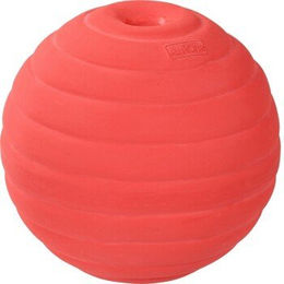 AniOne Latex Ball L Rot für Hunde – Bild 1 von 2