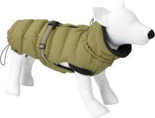 AniOne Pufferwintermantel Delia grün 65 cm – Bild 1 von 3
