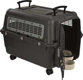 AniOne Transportbox Größe M-L – Bild 1 von 1