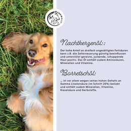 Annimally Barf-Öl Omega 3-6-9 Kaltgepresstes Futteröl für Hunde und Katzen 500 ml - 500 ml – Bild 1 von 2