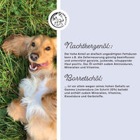 Produktbild von Annimally Barf-Öl Omega 3-6-9 Kaltgepresstes Futteröl für Hunde und Katzen 500 ml - 500 ml