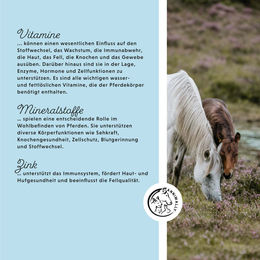 Annimally Bio Mineralfutter Pellets für Pferde 3 kg - 3 kg – Bild 1 von 5