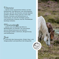 Produktbild von Annimally Bio Mineralfutter Pellets für Pferde 3 kg - 3 kg