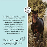 Produktbild von Annimally Bronchial Liquid Atemwegs-Ergänzungsfutter für Pferde mit Kräutern 1000ml - 1000 ml