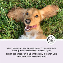 Annimally Colon Vital Probiotika Tabletten für Hunde zur Unterstützung der Darmflora und Verdauung 120 Stück – Bild 1 von 4