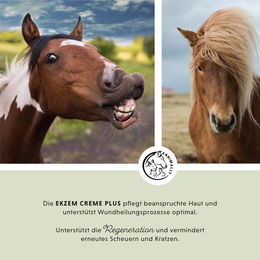 Annimally Ekzem Creme Plus Wundpflege für Pferde 500 ml – Bild 1 von 6