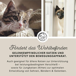 Annimally Gelenk Komplex Pulver für Katzen 120g - 120 g – Bild 1 von 6