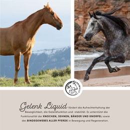 Annimally Gelenk Liquid für Pferde mit MSM, Glucosamin und Teufelskralle 1000ml - 1000 ml – Bild 1 von 9