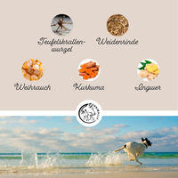 Produktbild von Annimally Gelenkpulver für Hunde mit Grünlippmuschel, Kollagen, MSM und Hyaluron 300g - 300 g