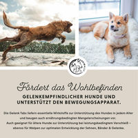 Produktbild von Annimally Gelenktabletten für Hunde mit Grünlippmuschel, MSM und Teufelskralle 120 Stück