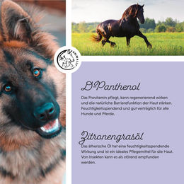 Annimally HairCare Pro Mähnen- und Schweifpflege sowie Fellspray für Pferde und Hunde 500ml - 500 ml – Bild 1 von 5